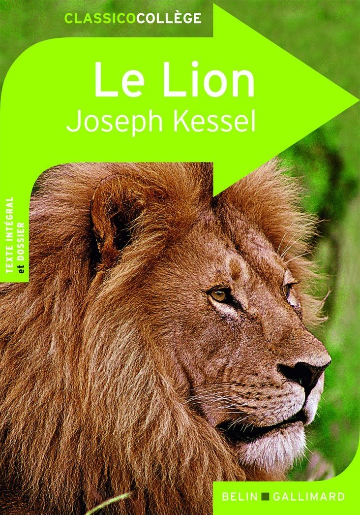 Le lion - Book - Clotilde French Bookstore