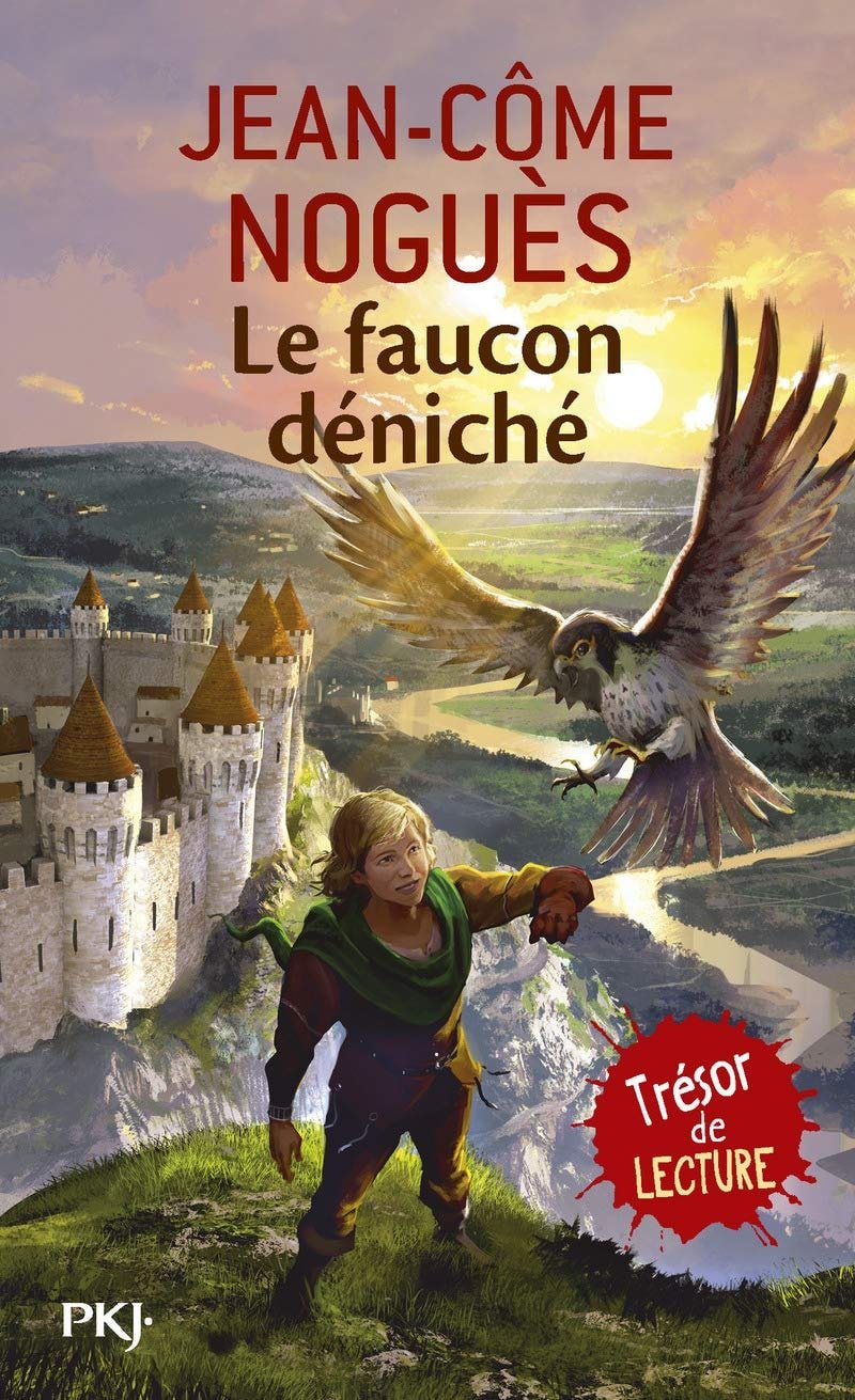 Le faucon déniché - Book - Clotilde French Bookstore