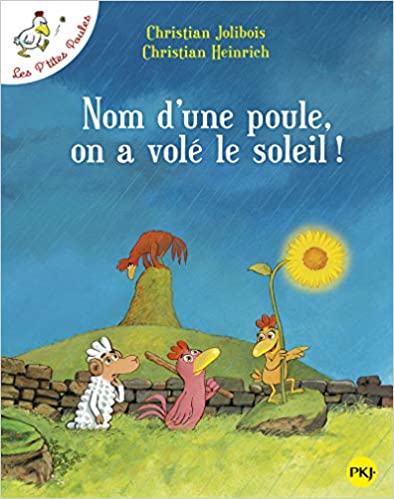 Nom d’une poule, on a volé le soleil - Book - Clotilde French Bookstore