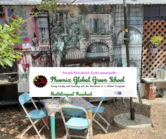 Book Fair at Phoenix Global Green School