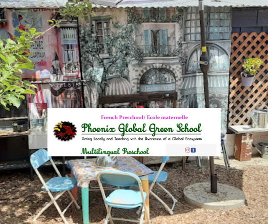 Book Fair at Phoenix Global Green School