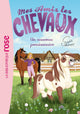 Mes Amis les Chevaux - Un nouveau pensionnaire