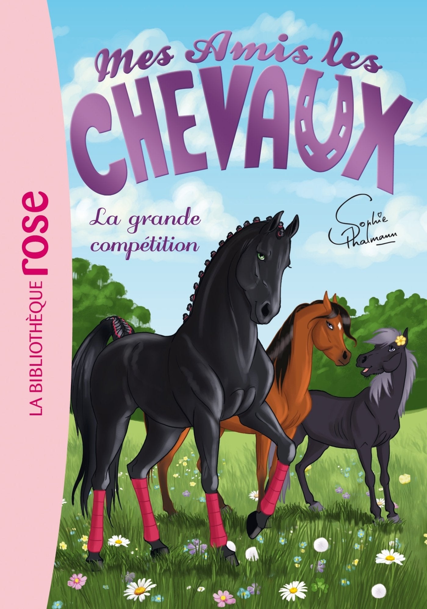 Mes amis les Chevaux - La grande compétition
