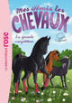 Mes amis les Chevaux - La grande compétition