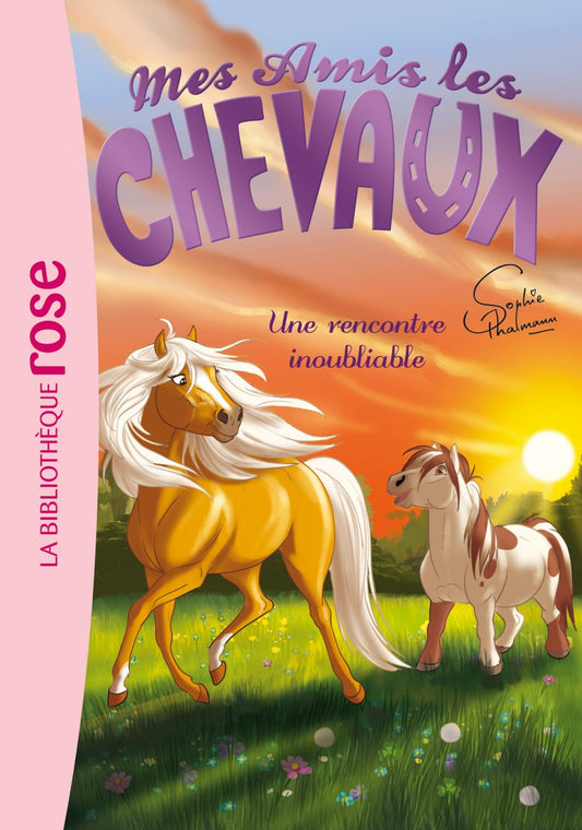 Mes Amis les Chevaux - Une rencontre inoubliable