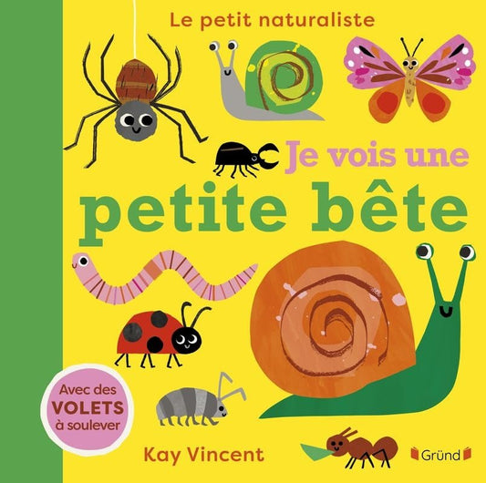 Je vois une petite bête - Book - Clotilde French Bookstore