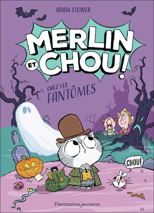 Merlin et Chou chez les fantômes - Book - Clotilde French Bookstore
