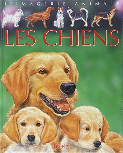 Les chiens: pour les faire connaître aux enfants