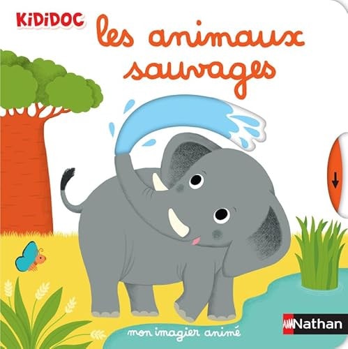 Kididoc animé - Les animaux sauvages