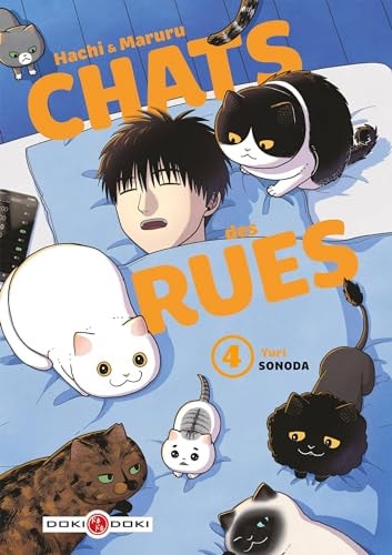 Hachi & Maruru, Chats des rues - Tome 4