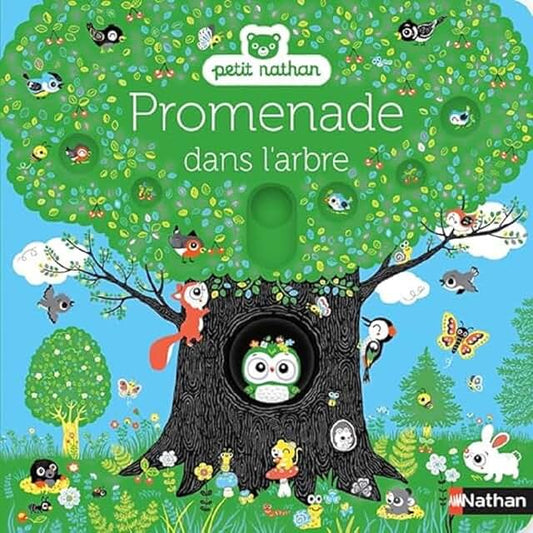 Promenade dans l’arbre